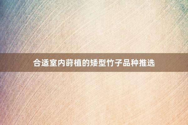 合适室内莳植的矮型竹子品种推选