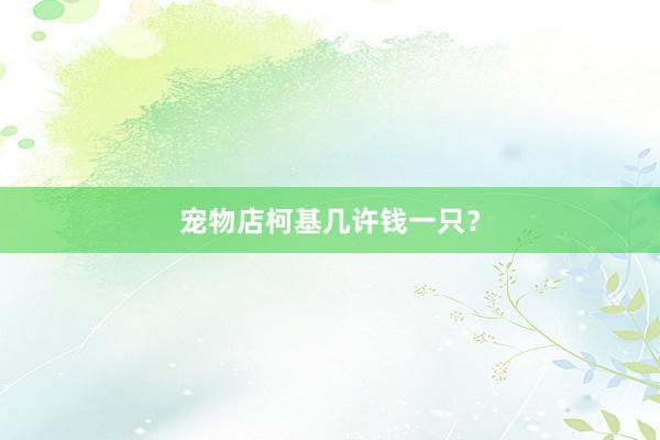 宠物店柯基几许钱一只？